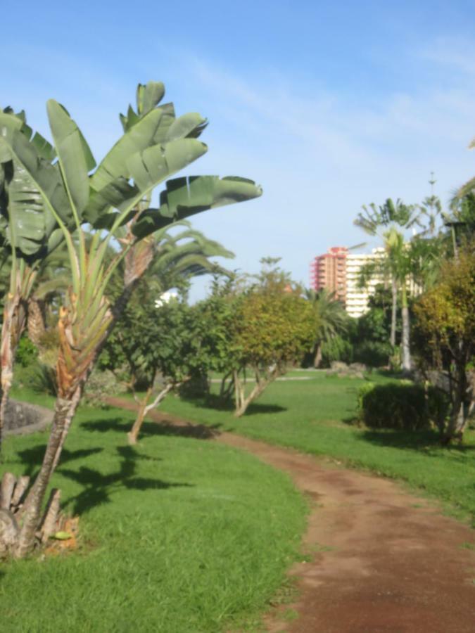 Centrico Loft En El Puerto De La Cruz Con Wifi Y Cerca De La Playa Leilighet Eksteriør bilde
